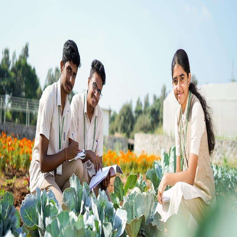 Kuppam Tech Collective