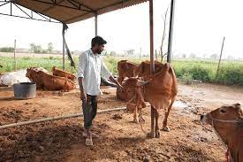 Venkat Reddy