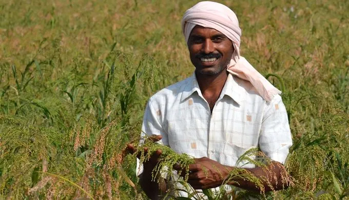 Kuppam Organic Millets